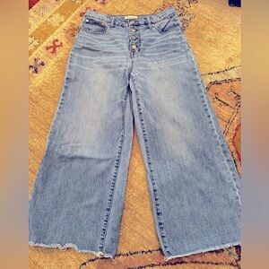 Madewell Women’s Wide Leg Cropped Size 29 Jeans with a Button Fly and Raw Edge
